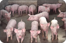 政策法规开元棋牌- 开元棋牌官方网站- 开元棋牌APP下载