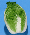 �ս�--��ײ�