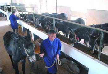 河南省推动2026年第易游娱乐城- YY易游体育官方网站- 易游体育APP一季度经济发展实现良好开局若干政策措施