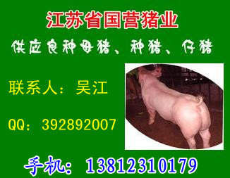 官方统计：5月迄今巴西大豆出口量为1138万吨同比增长13%开元棋牌- 开元棋牌官方网站- 开元棋牌APP下载