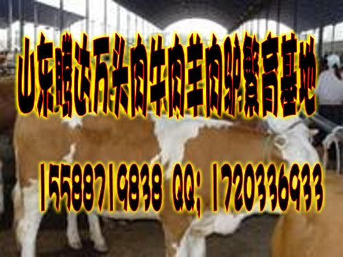 波尔山羊与什么羊<em>杂交</em>最好波尔山羊与羊交配什