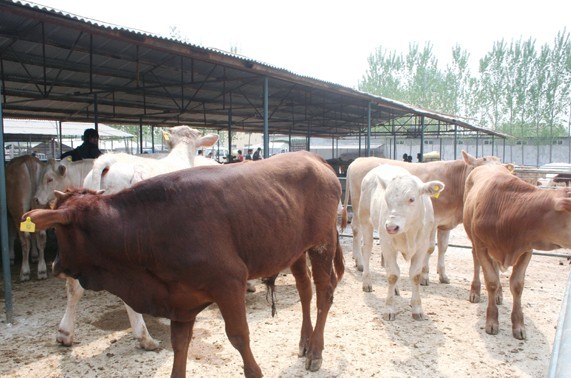 潭创先锋丨从0到600万粉丝 一名00后创业者的“鱼开元棋牌- 开元棋牌官方网站- 开元棋牌APP下载猫”江湖