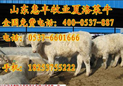 收入证明_贵州收入(3)