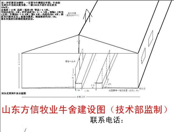 牛舍建设基地要点二