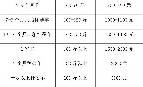 在新窗口中浏览