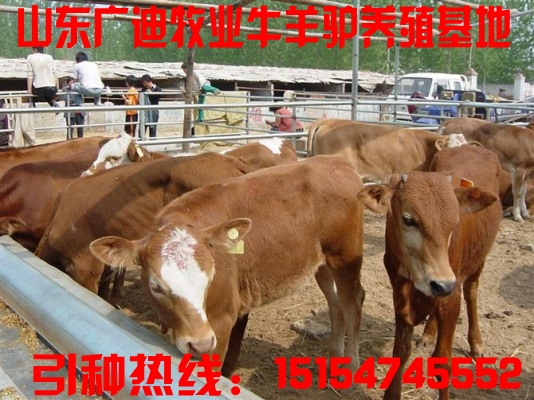 2014全国养牛惠农补贴政策