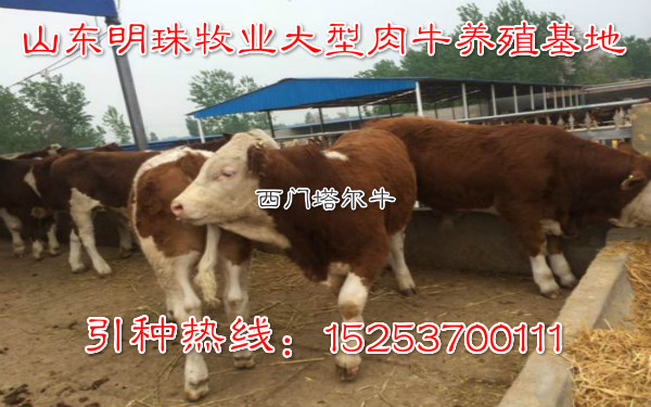 收入证明_畜产品增加收入(3)